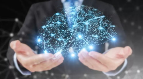 Arm中國人工智能業務總部落戶青浦 驅動計算機信息科技技術開發新浪潮